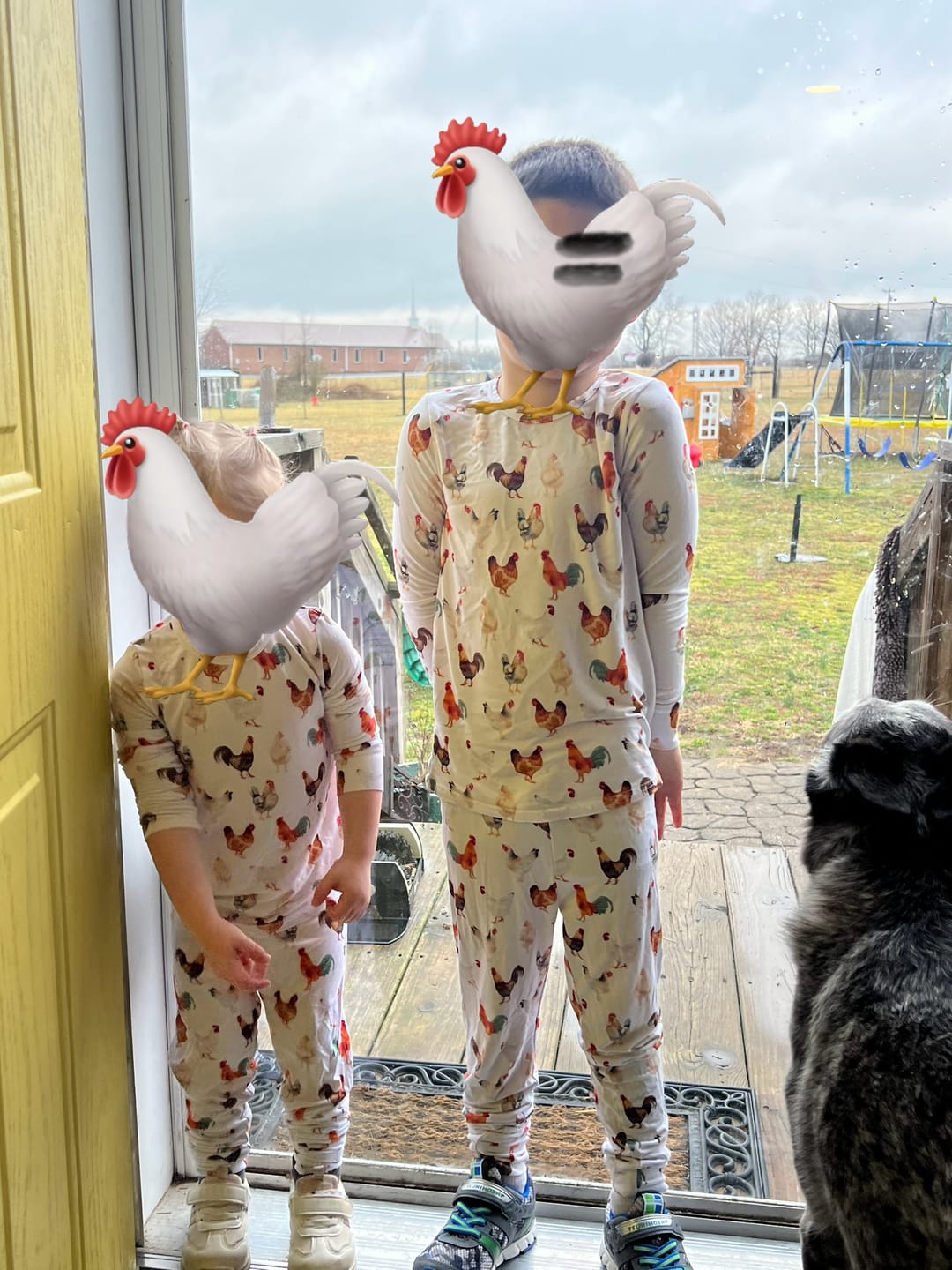 Customer photo review of Chicken Toddler/Youth Bamboo Pajama Set
