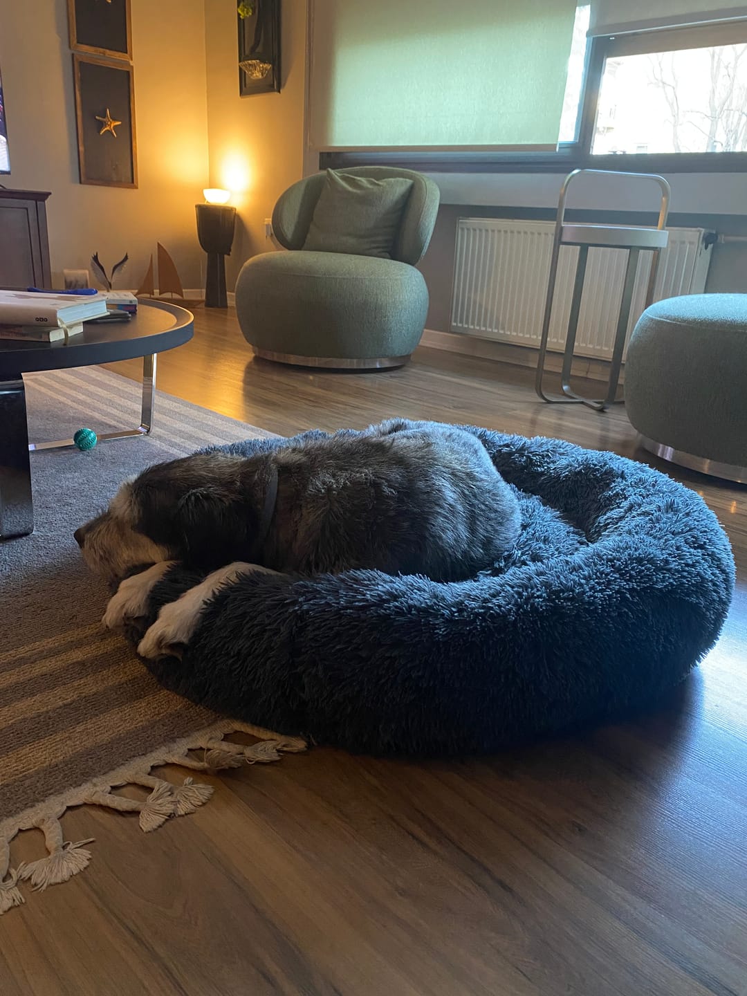 Customer photo review of Mellowpurr Huzurlu Paws Yatağı | Süper Yumuşak