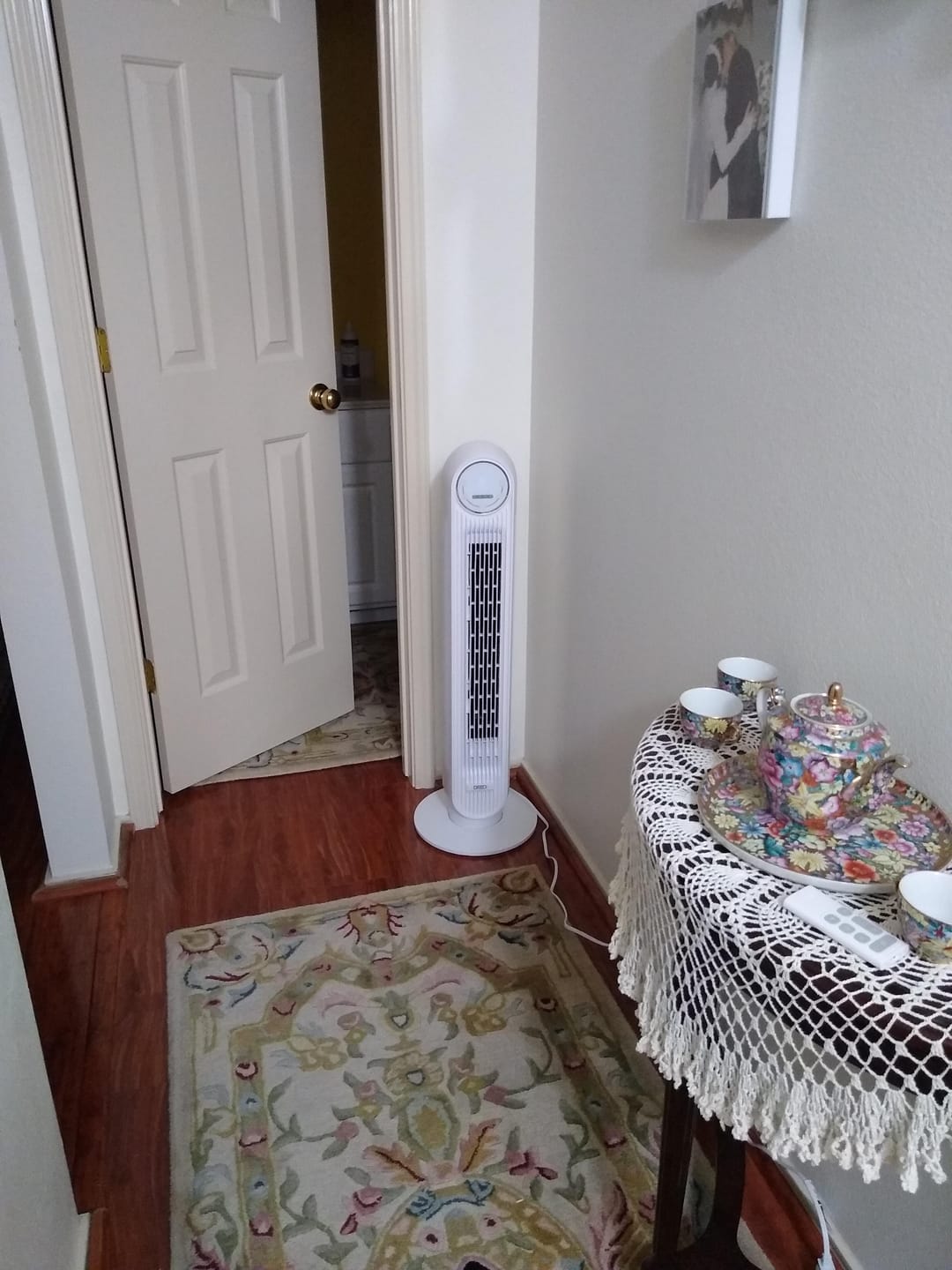 Customer photo review of Smart Tower Fan Nomad One S 24ft/s