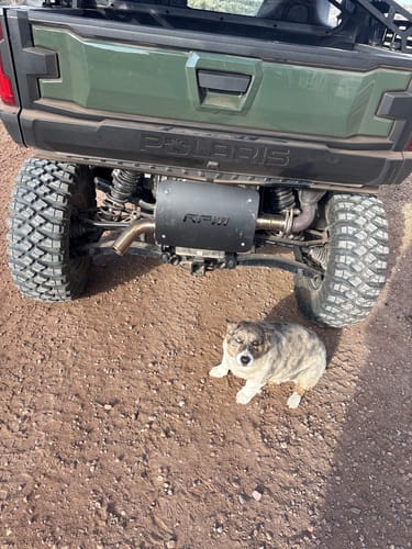 Customer photo review of RPM Polaris XPEDITION XP & ADV Sport Muffler / Slip On Exhaust
