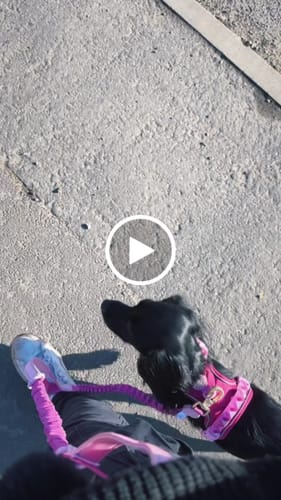 Customer video review of Handsfree Lead - Walkies Ready® Raspberry Pink
