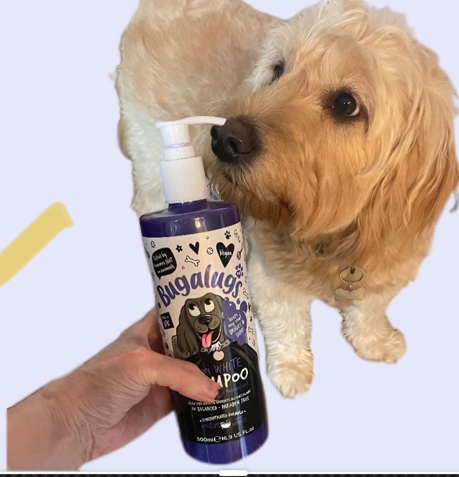 Customer photo review of Maxi White Whitening Dog Shampoo with Pineapple & Passionfruit