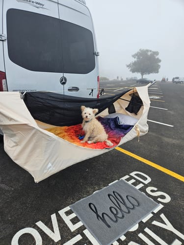 Customer photo review of Haven Safari