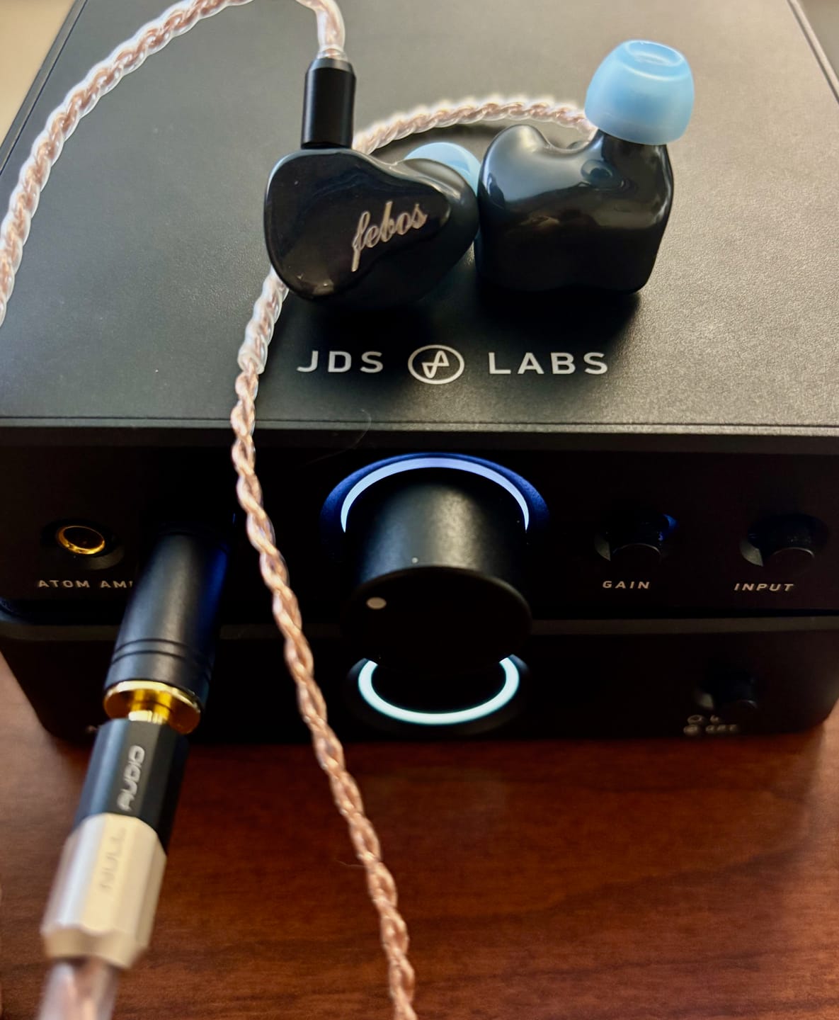 Customer photo review of Hisenior Audio Mega5-EST In-Ear Headphones