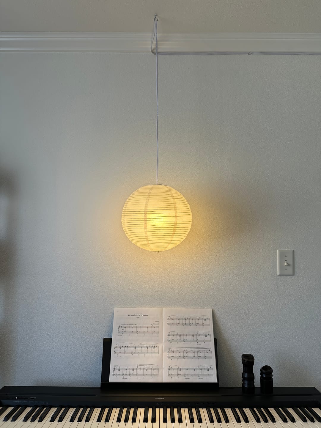 Customer photo review of 12" Beige/Ivory Fine Line Premium Even Ribbing Paper Lantern, Extra Sturdy