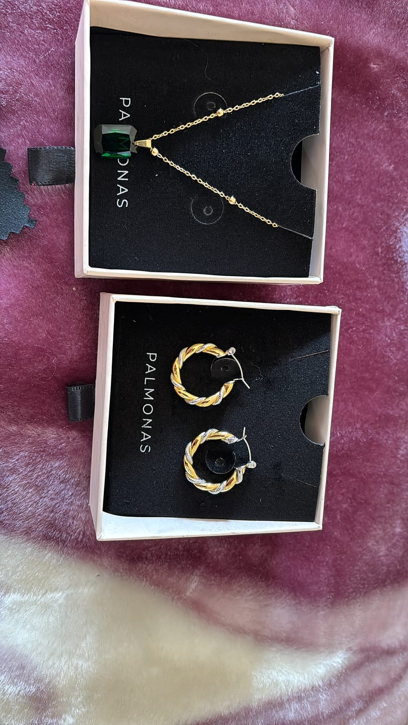 Customer photo review of Golden Silver Twisted Hoop Earrings