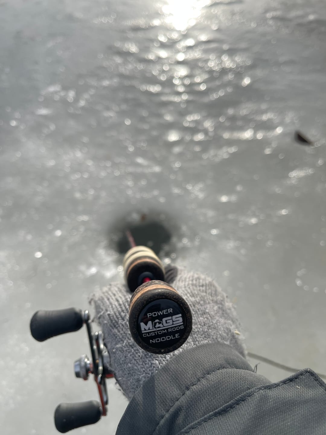 Customer photo review of Custom Power Noodle