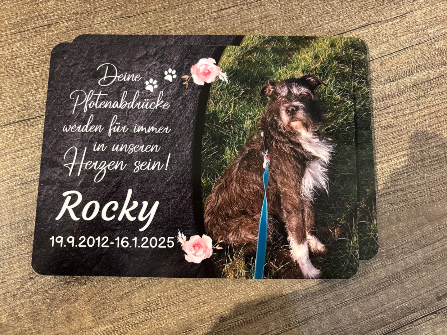 Customer photo review of Hunde Gedenktafel mit Foto & Spruch (UV- & Wetterfest)