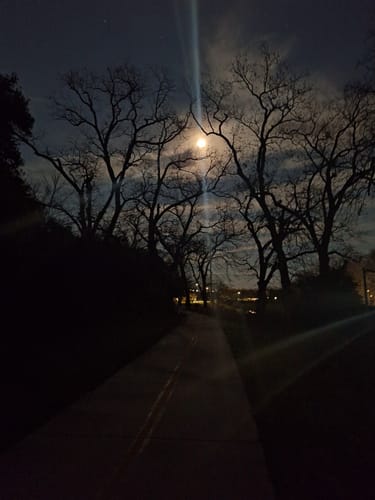 Customer photo review of Blood and Bone, with Old Gods of Appalachia