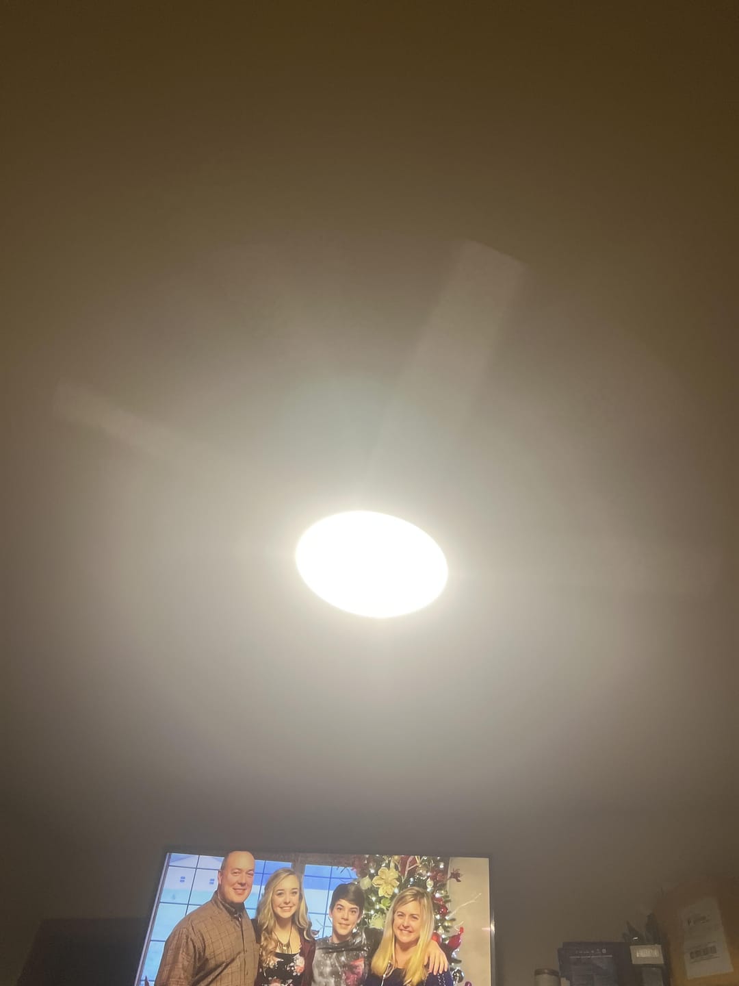 Customer photo review of Smart Ceiling Fan CLF521S