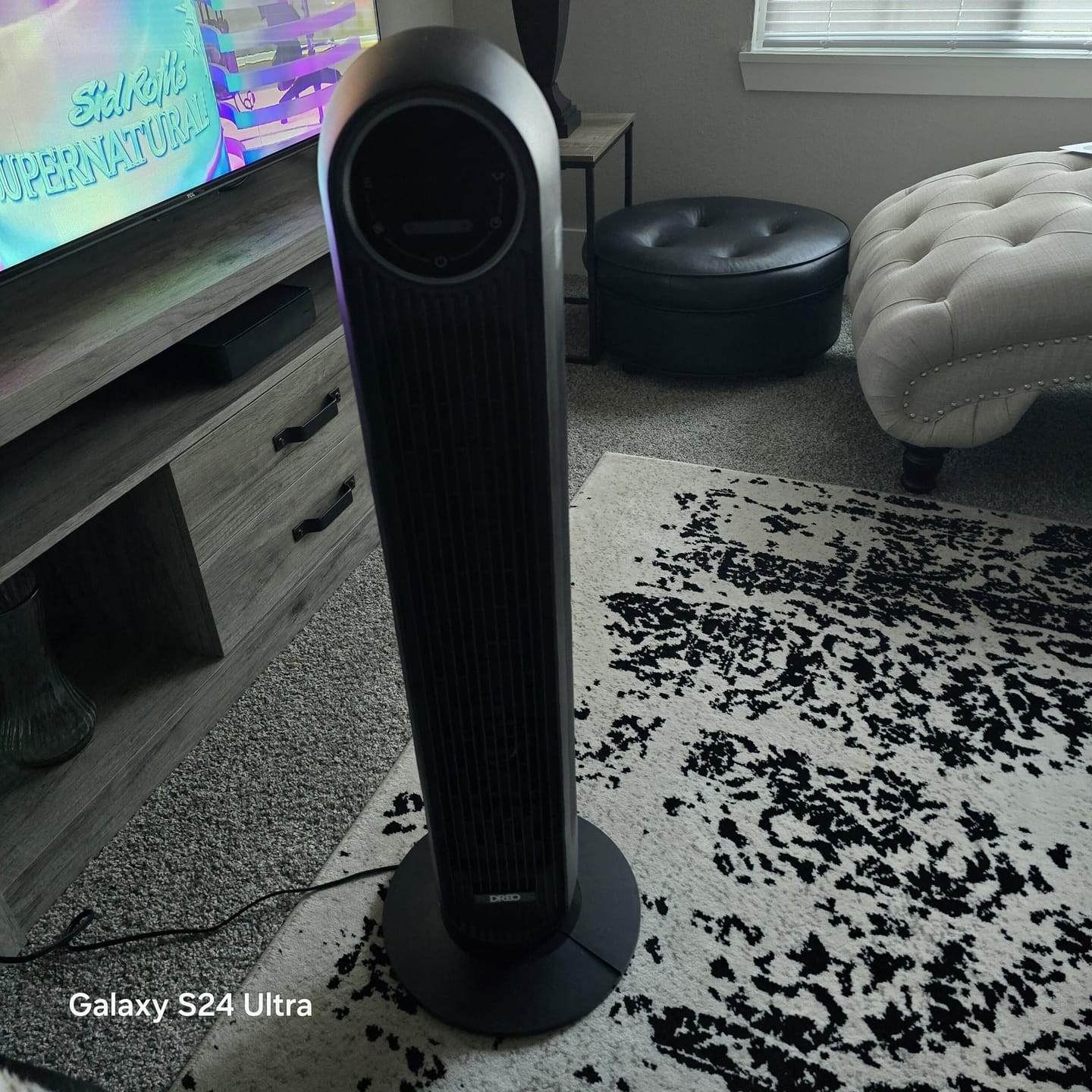 Customer photo review of Smart Tower Fan Pilot Max S 27ft/s