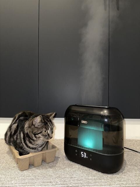 Customer photo review of Smart Humidifier HM311S 4L