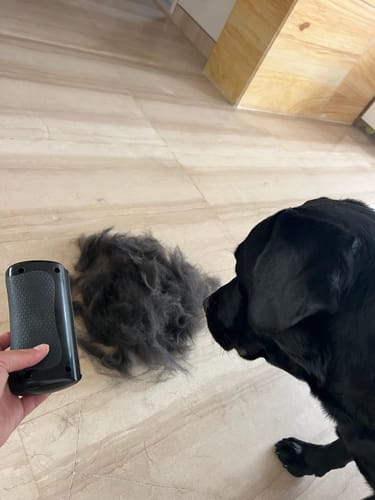 Customer photo review of GroomPro™ - The #1 Pet Shedding Solution