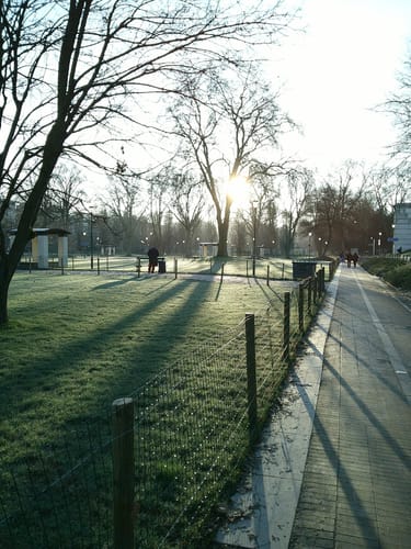 Customer photo review of NUVINT - Digitalkamera