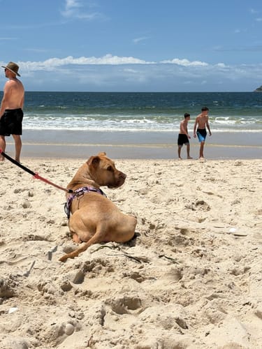 Customer photo review of Custom Name Patches