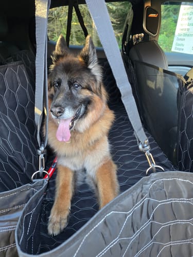 Customer photo review of Rear Car Seat Extender for Dogs