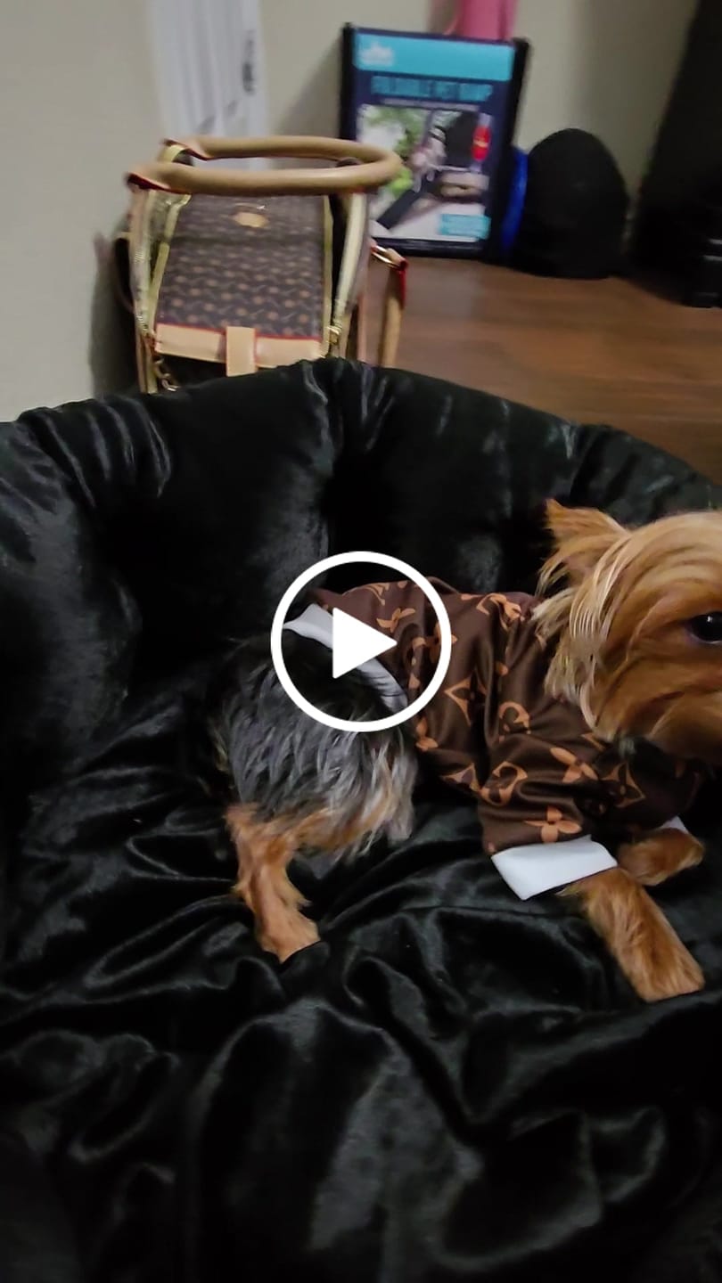 Customer video review of LV Brown Summer Shirt
