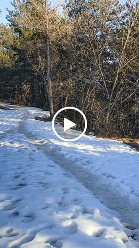 Customer video review of Sticker Vinile Trasparenti