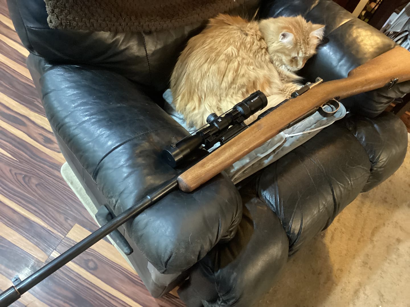 Customer photo review of Gen 3 Swedish Mauser NDT Scout Mount Low-Profile for M38 and M96