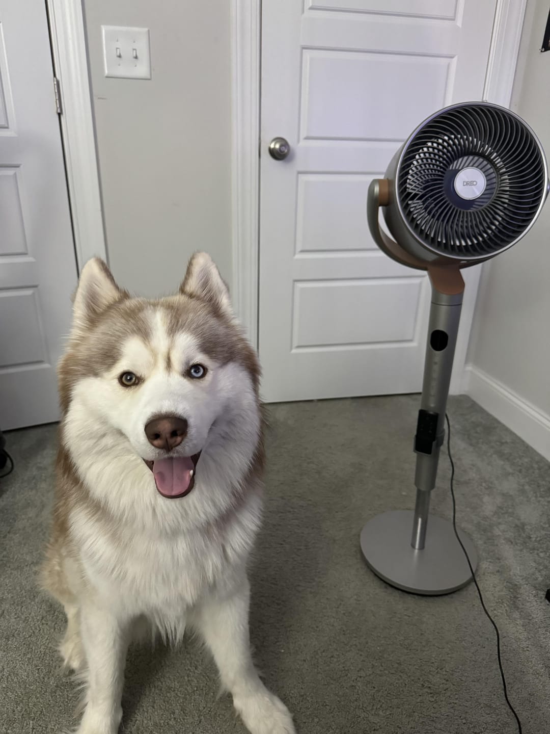 Customer photo review of Smart Air Circulator PolyFan 502S