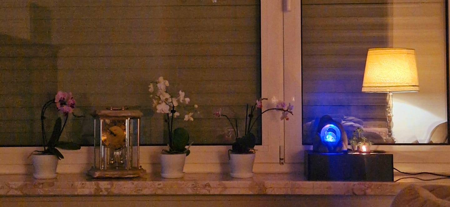 Customer photo review of Table Dance Pia mit hellrosafarbenen Blüten und 2 Rispen