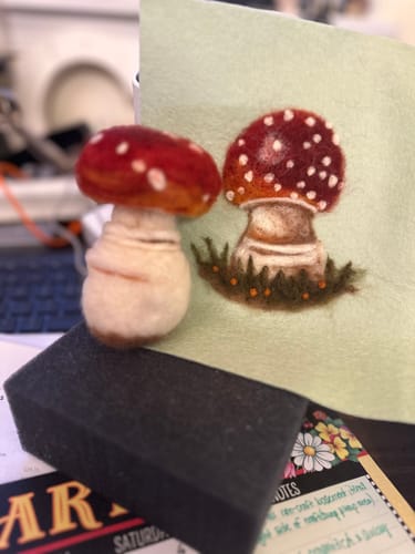 Customer photo review of Sophie Wheatley's Felted Fungi Supplies Box