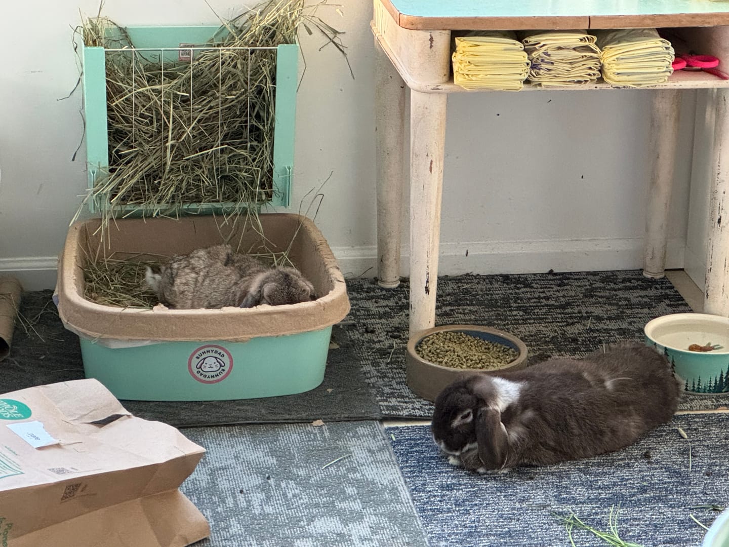 Customer photo review of BunnyLet Refills - WaffleTrays & Liner Bags (2 Month Supply!)