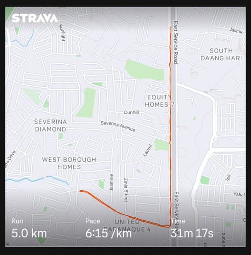 Customer photo review of Nike Men's Rival Fly 4 Road Running Shoes