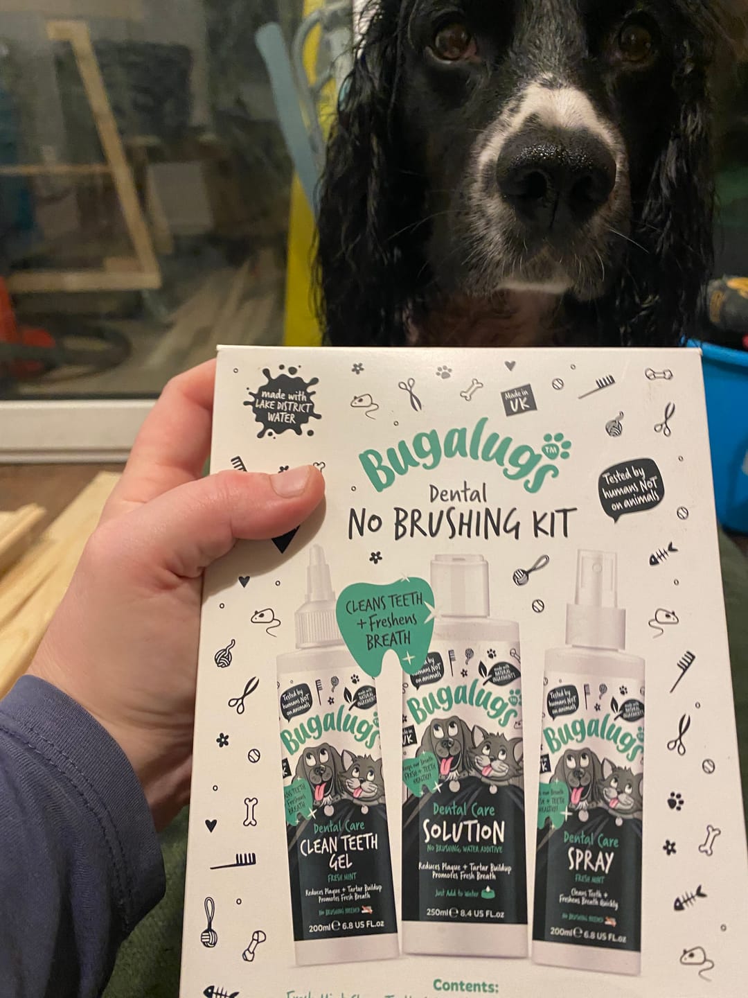 Customer photo review of Dental No Brushing Kit for Dogs & Cats