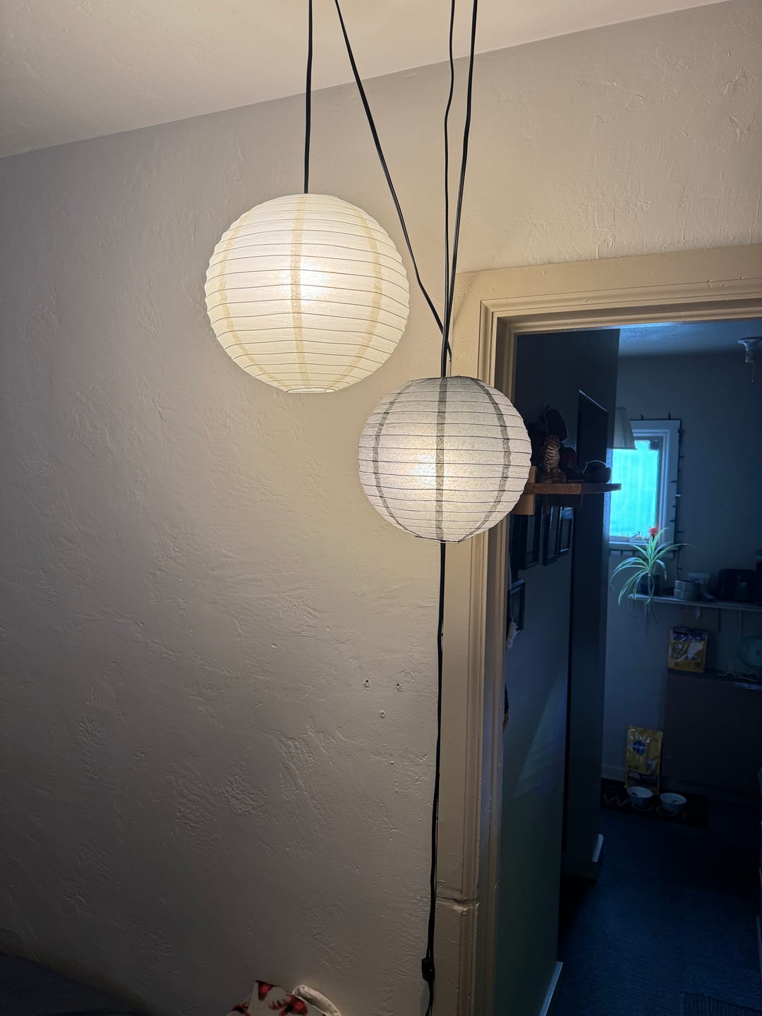 Customer photo review of 12" Ivory Round Paper Lantern, Even Ribbing, Hanging Decoration