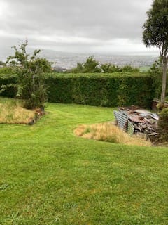 Customer photo review of Magnesium