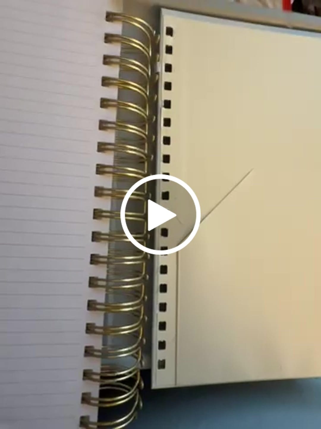 Customer video review of 2025 Calendar Year Catholic Liturgical Planner // Big Layout