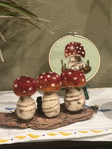 Customer photo review of Sophie Wheatley's Felted Fungi Supplies Box