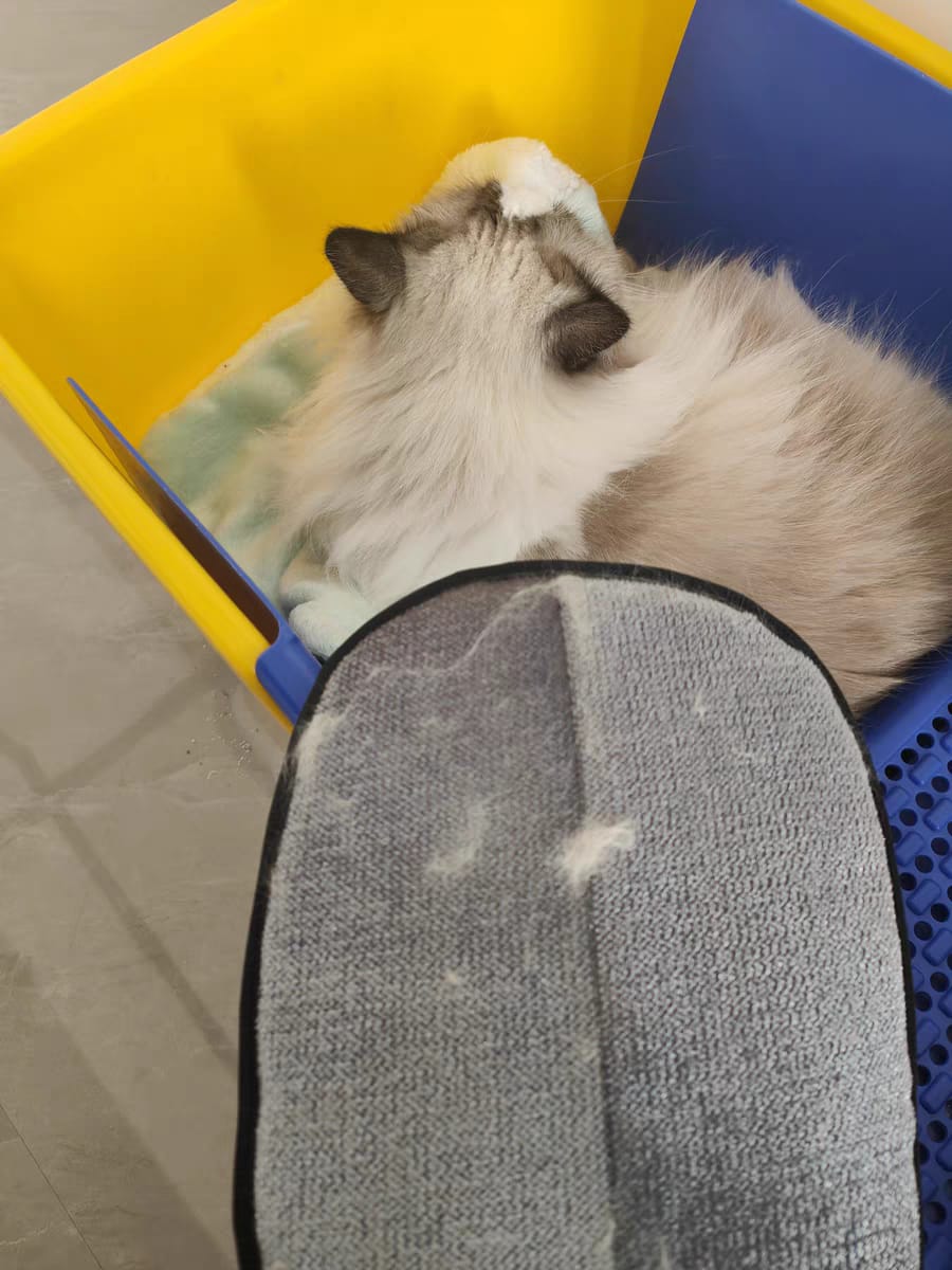 Customer photo review of Extra-Large Static Pet Hair Removal Glove