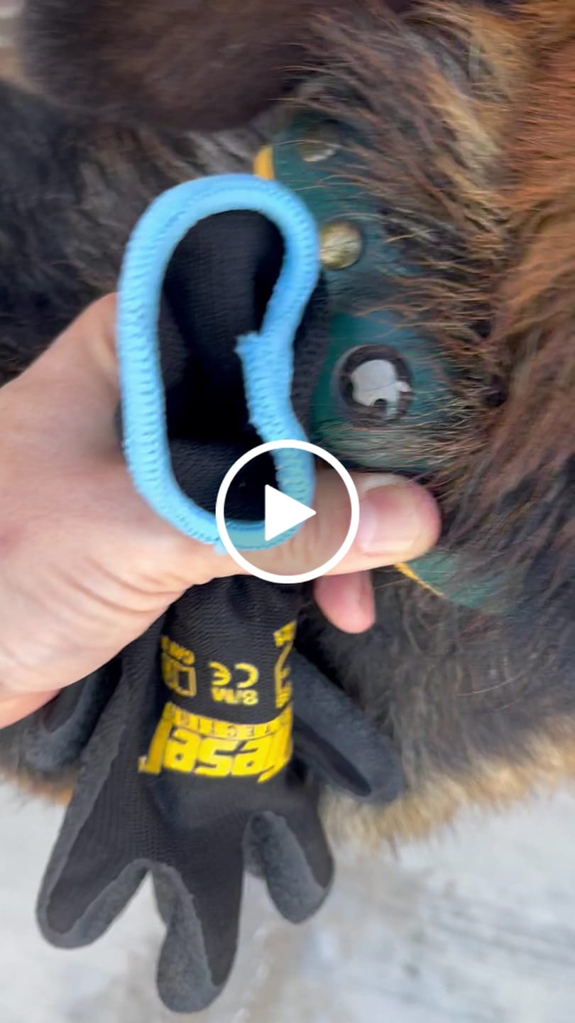 Customer video review of Keepaws™ Leather AirTag Collar