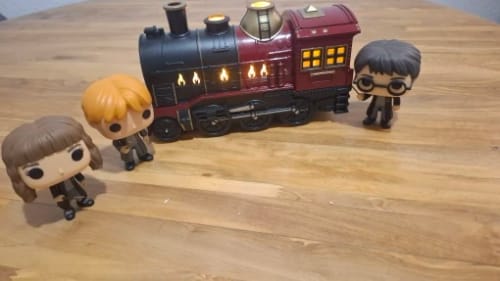 Customer photo review of Express Train