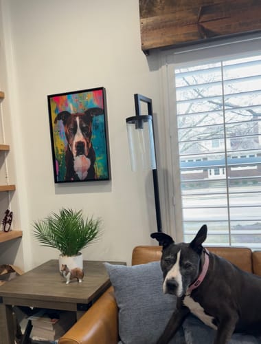 undefined review of Custom Pet Portrait - Abstract Style image 1 out of 1