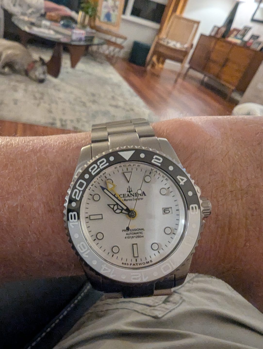 Customer photo review of Oceaneva Men's GMT TITANIUM Automatic Deep Marine Explorer 1250M White & Black Ceramic Bezel Watch