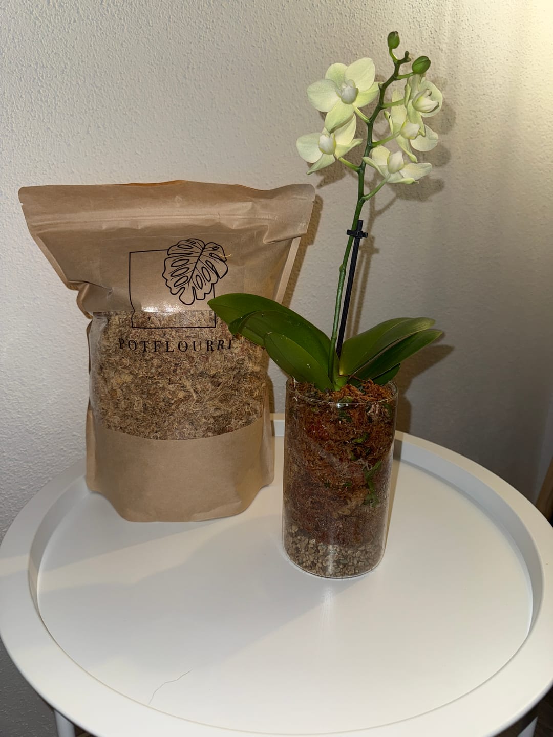 Customer photo review of SUBSTRAT - SPHAGNUM MOOS