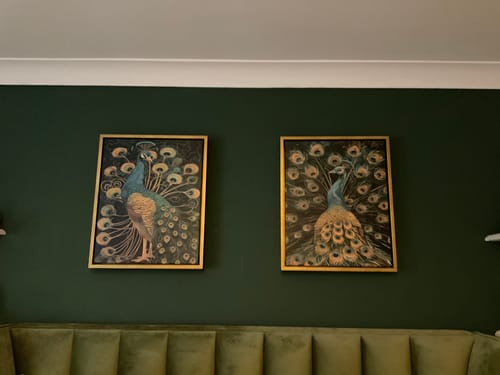 Customer photo review of Luxe Peacock Set of 2 Prints