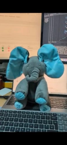 Customer photo review of Dumbo - De zingende olifant!