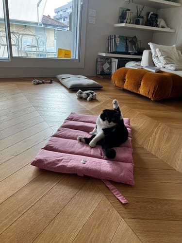 Customer photo review of Trapuntina Arrotolabile Cotone Urban