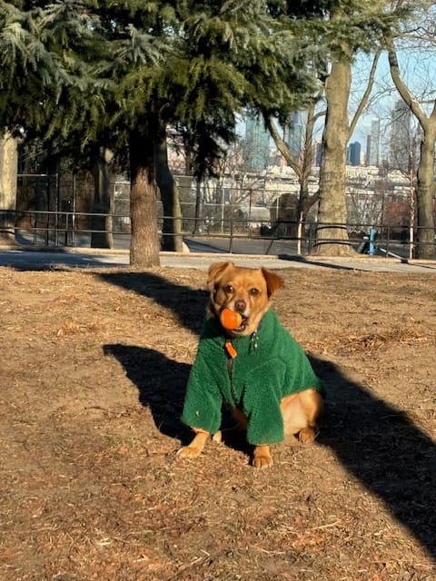 Customer photo review of Monkey Fleece Jacket