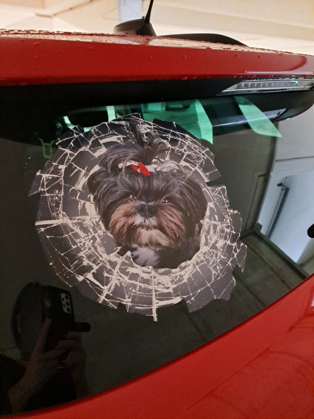 Customer photo review of Spähendes Foto Glas - Individueller Autoaufkleber