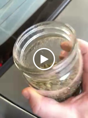 Customer video review of Super Boof