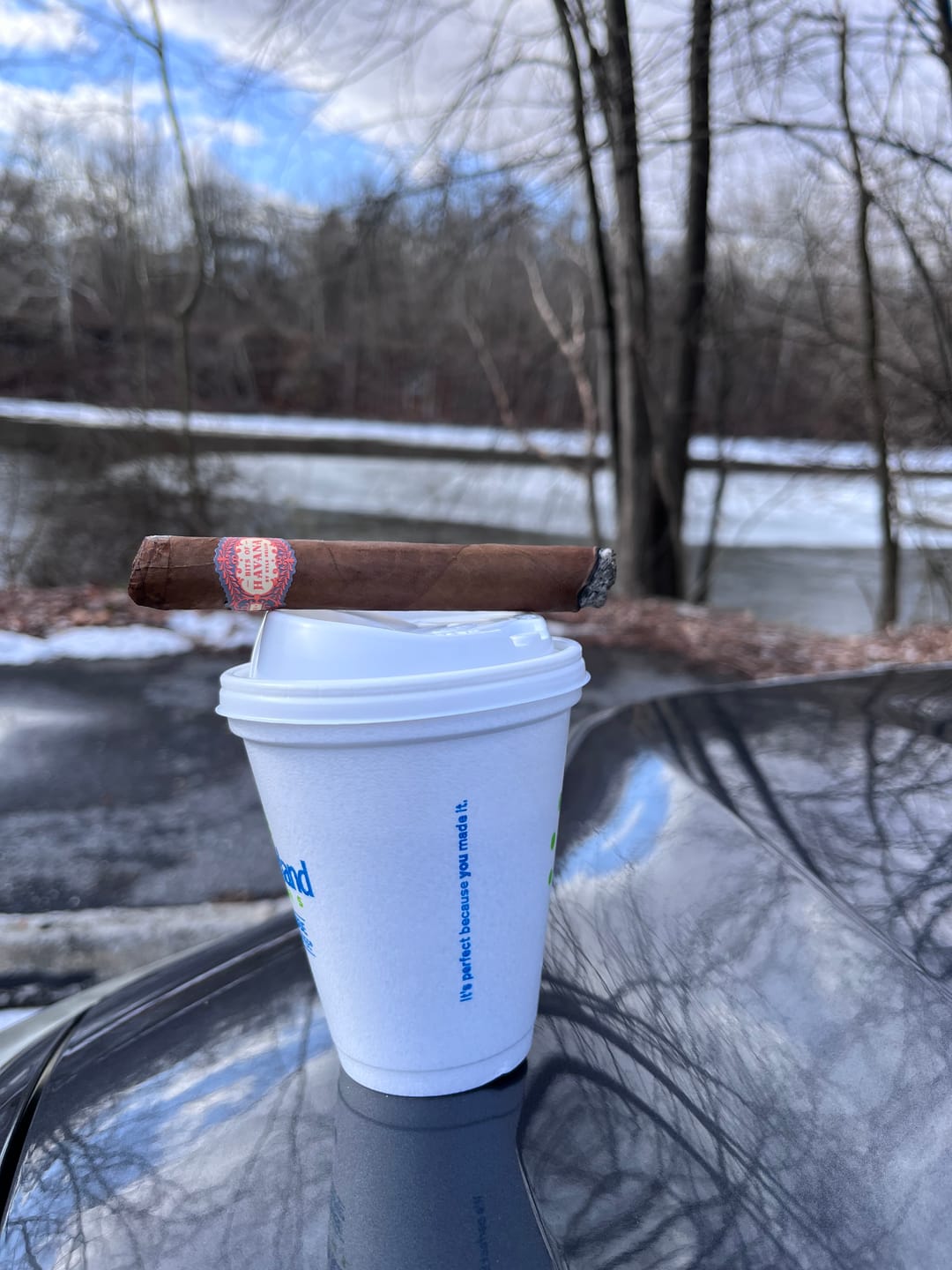 Customer photo review of Bits of Havana Robusto