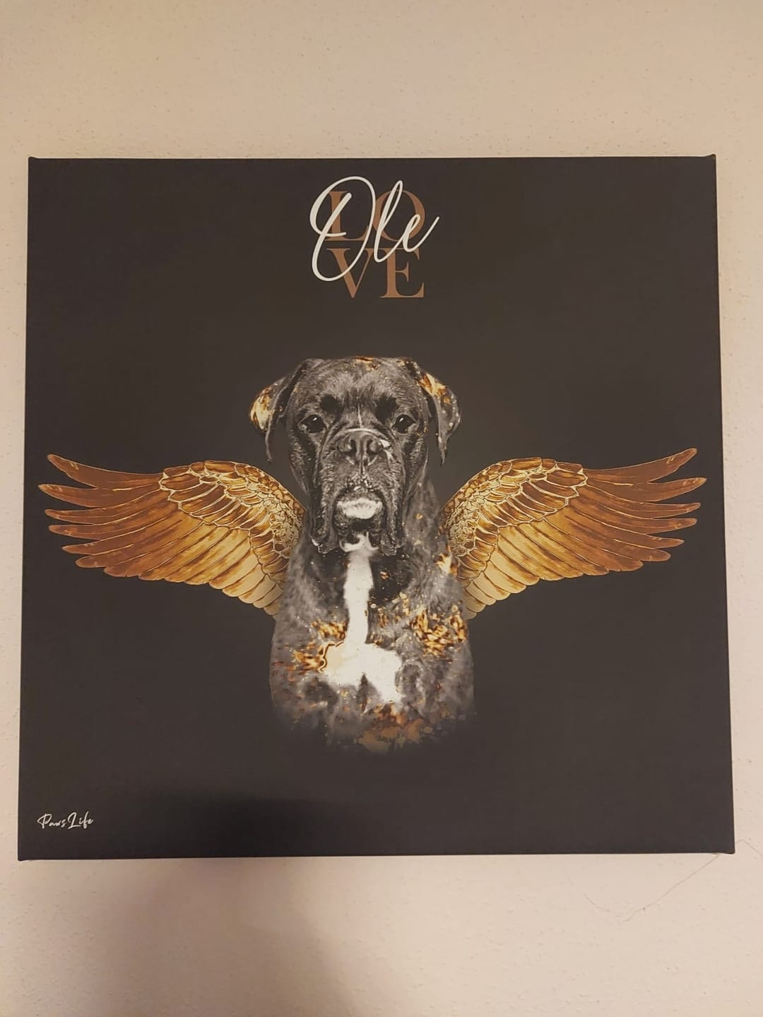 Customer photo review of Personalisiertes Portrait - Goldener Engel Stil