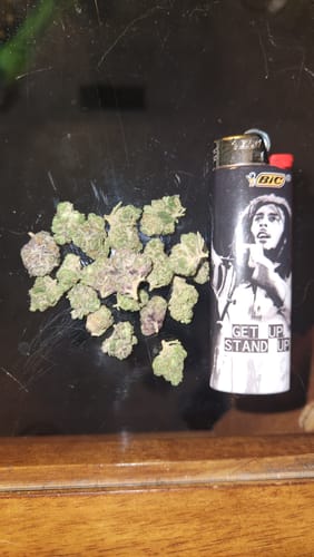 Customer photo review of Skywalker OG - Greenhouse THCA (Smalls)