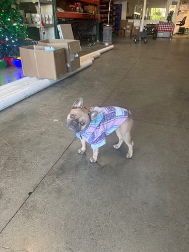 Customer photo review of Free & Easy Return or Exchange Coverage + Package Protection