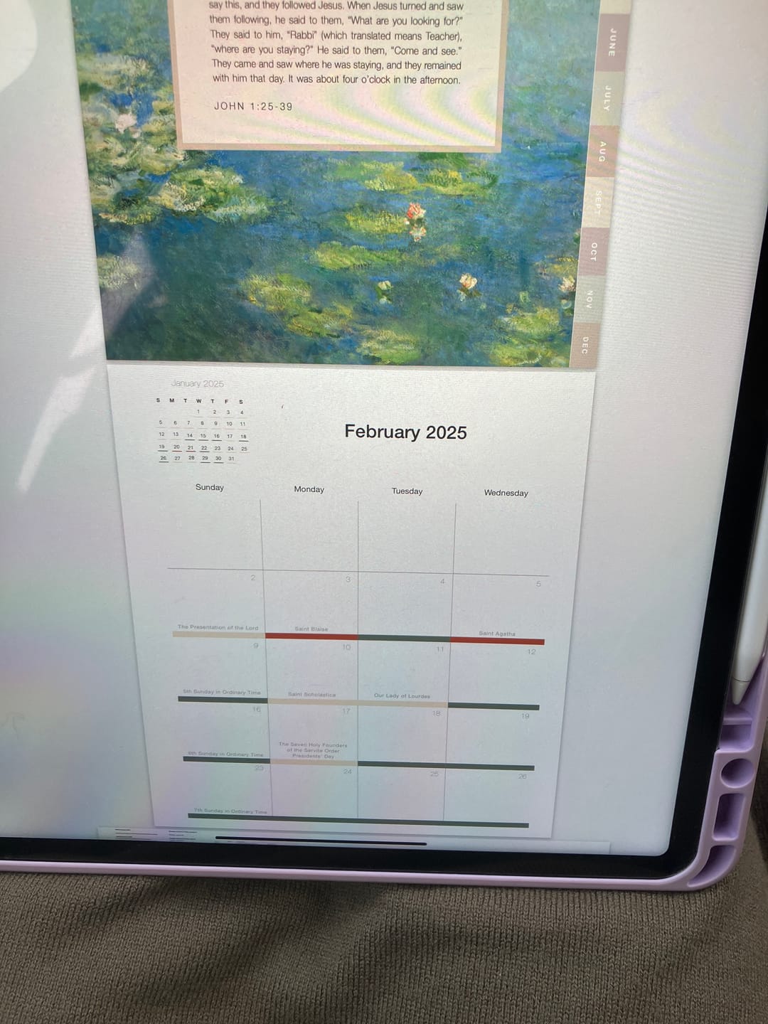 Customer photo review of Digital 2025 Catholic Liturgical Planner